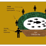 The Ūloa Model