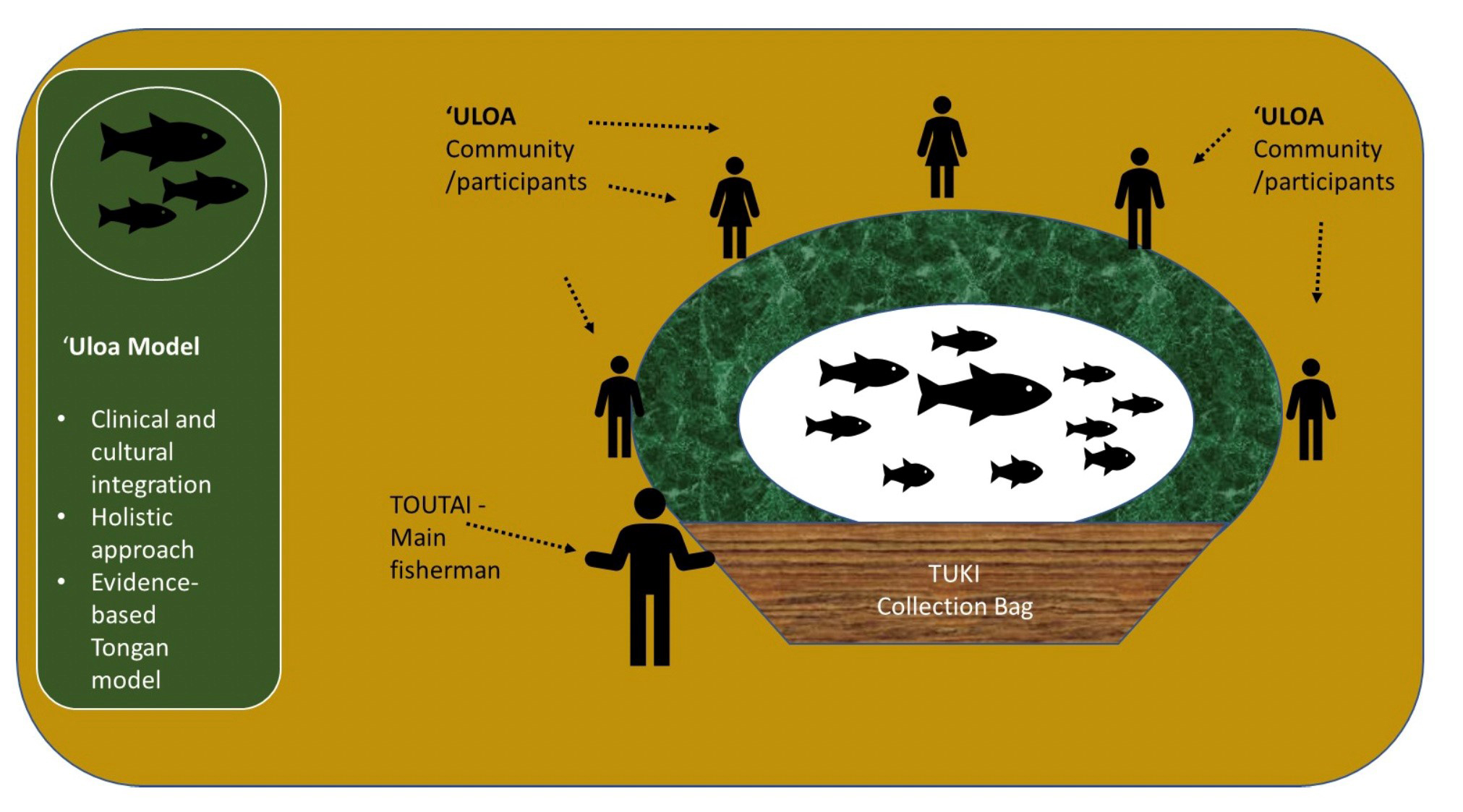 uloa model jpg